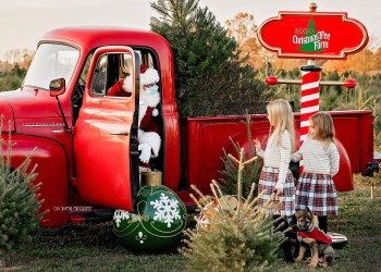 Kids meet Santa Claus at Santa's Christmas Tree Farm