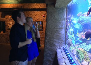 Rachael and Mike at Long Island Aquarium's Fish and Sips event