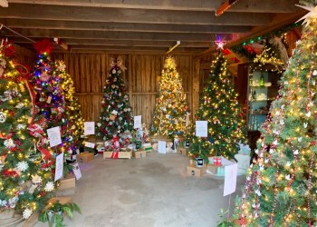 North Fork Festival of Trees at Treiber Farms,