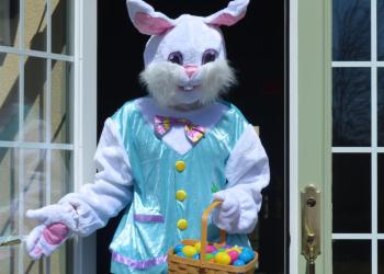 The Easter Bunny at Southampton Inn