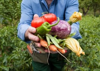 When you live this close to bucolic farmland, organic cuisine is a must-have.