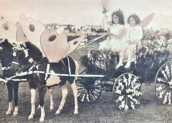 Ponies dressed as butterflies, photo c. 1910 Southampton History Museum Collections