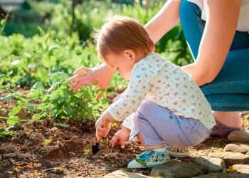 Summer season. Little baby weeds the herbs beds with a child's shovel. Mother nearby helps to her child to take care of the garden. The concept of family gardening.