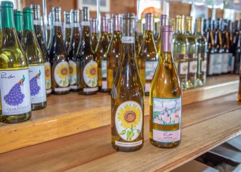 New Pindar Vineyards wines