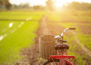 Enjoy the North Fork on two wheels!