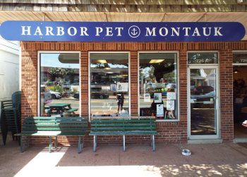 Harbor Pet in Montauk