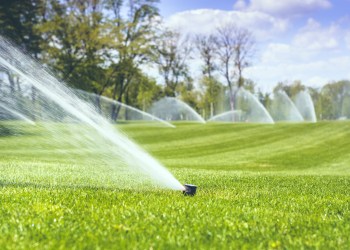 Twin Forks residents are ignoring requests to all stop watering their lawns at the same time during this drought