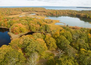 Take a walk through this beautiful piece of Shelter Island on the North Fork (sort of)