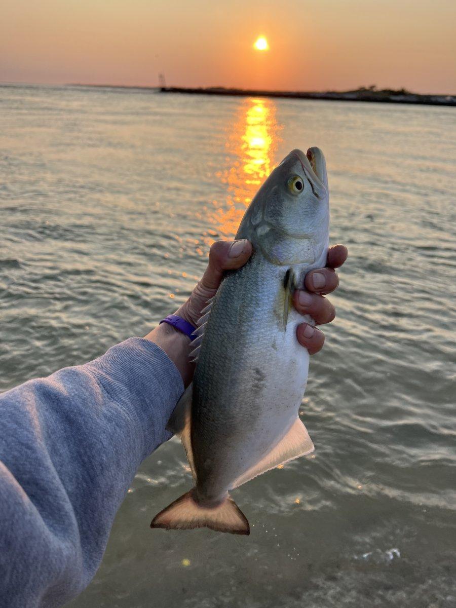 Fishing Guy: What's Biting Ahead of the Fall Run