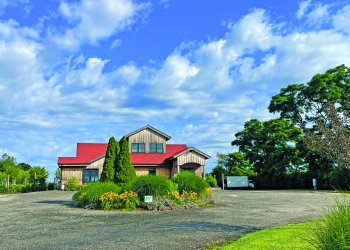 Sannino Vineyard on the North Fork