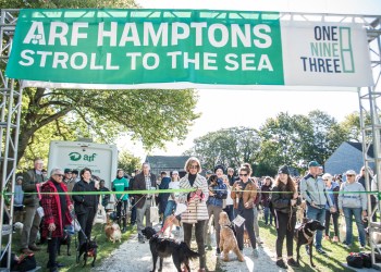 2022 ARF Stroll to the Sea Dog Walk commences in the Hamptons