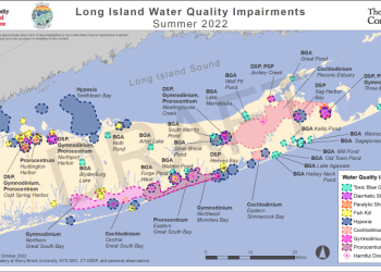 Fish kills around Long Island