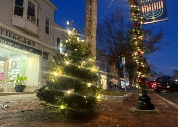 East Hampton Village Christmas trees 2022