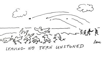 Leaving no tern unstoned