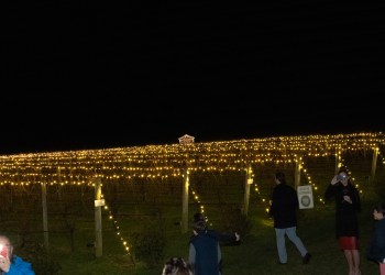 The Vines are lit at Wolffer! at the Wolffer Estate 2022 Lighting of the Vines in the Hamptons