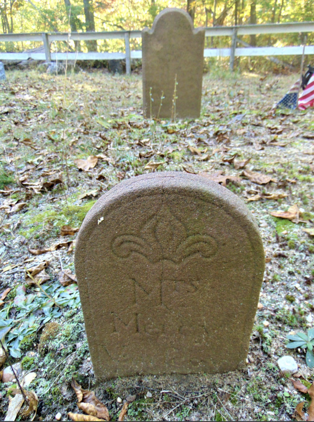 Van Scoy Edwards Burying Ground cemetery in East Hampton Northwest Woods