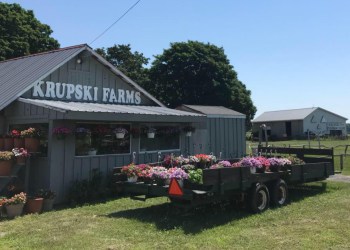 Krupski Farms