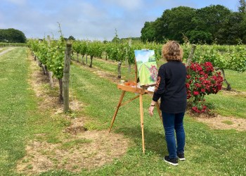 Patricia Feiler painting what would become the March 3, 2023 Dan's Papers North Fork cover at Borghese Vineyard