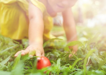 There is no shortage of North Fork Easter Egg hunts for kids