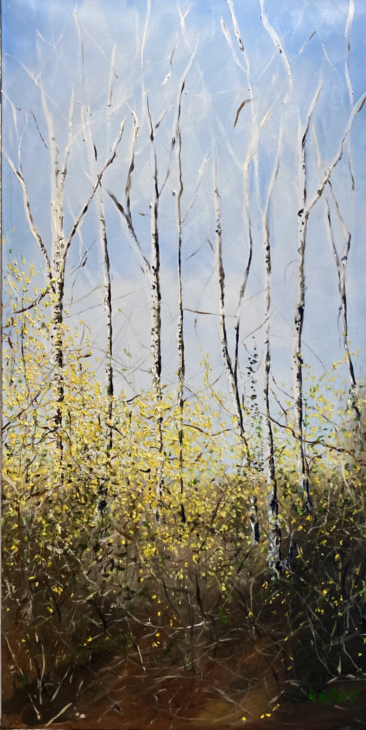 "Spring, White Birch and Forsythia" (oil, 24” x 48”) by Isabelle Haran-Leonardi