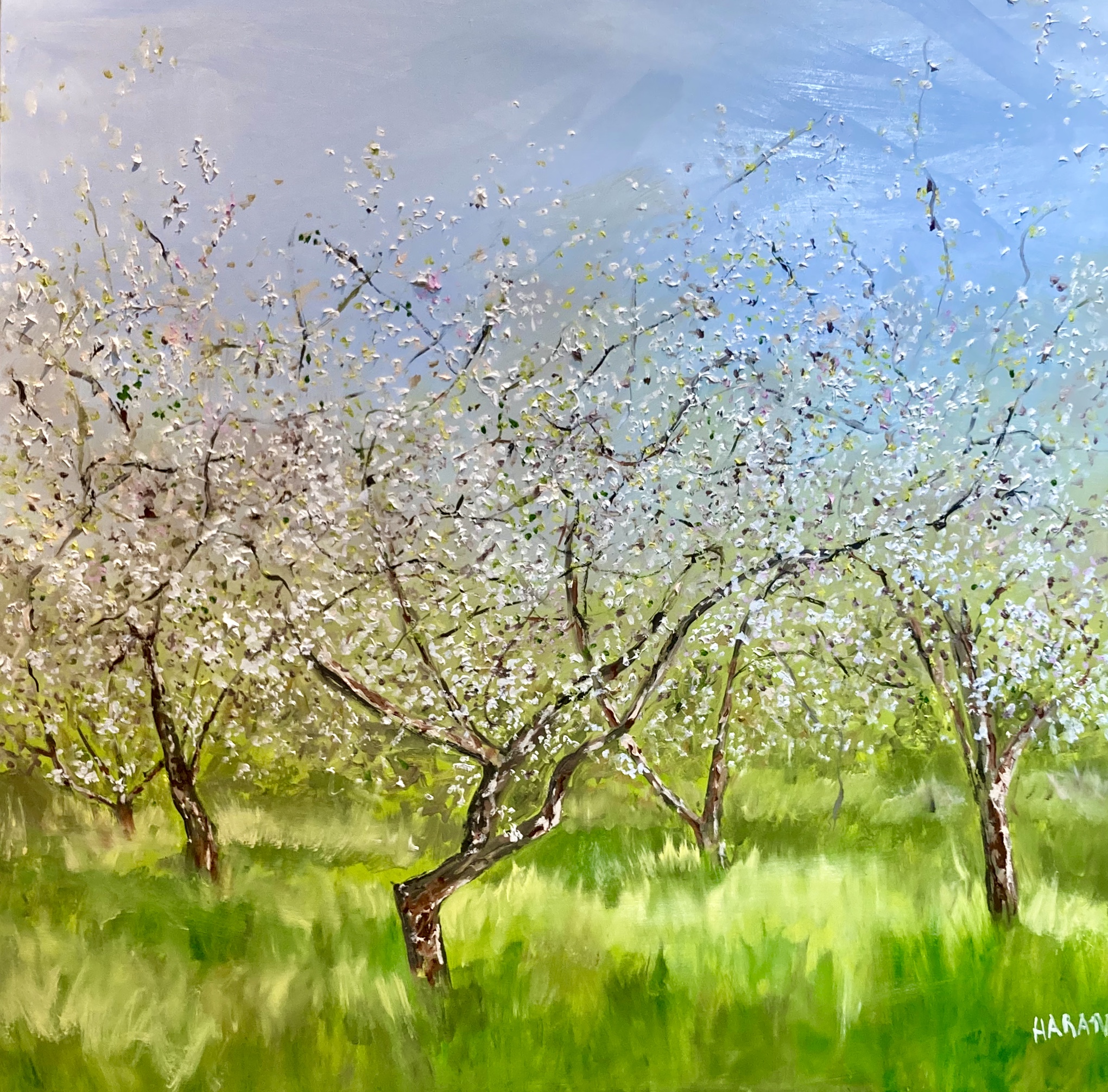 "White Apple Trees" (oil, 36” x 36”) by Isabelle Haran-Leonardi