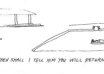 Swimply pool Cartoon by Dan Rattiner