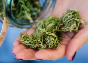 Dried and trimmed weed, marijuana or cannabis buds stored in a glass jar and big buds in a hand of Caucasian girl in a coffee shop for sale