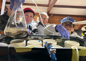 Shinnecock Kelp Farmers Waban Tarrant, Donna Collins-Smith and Danielle Hopson Begun in the hatchery