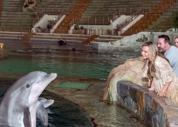 American Humane CEO Robin Ganzert at Sea World