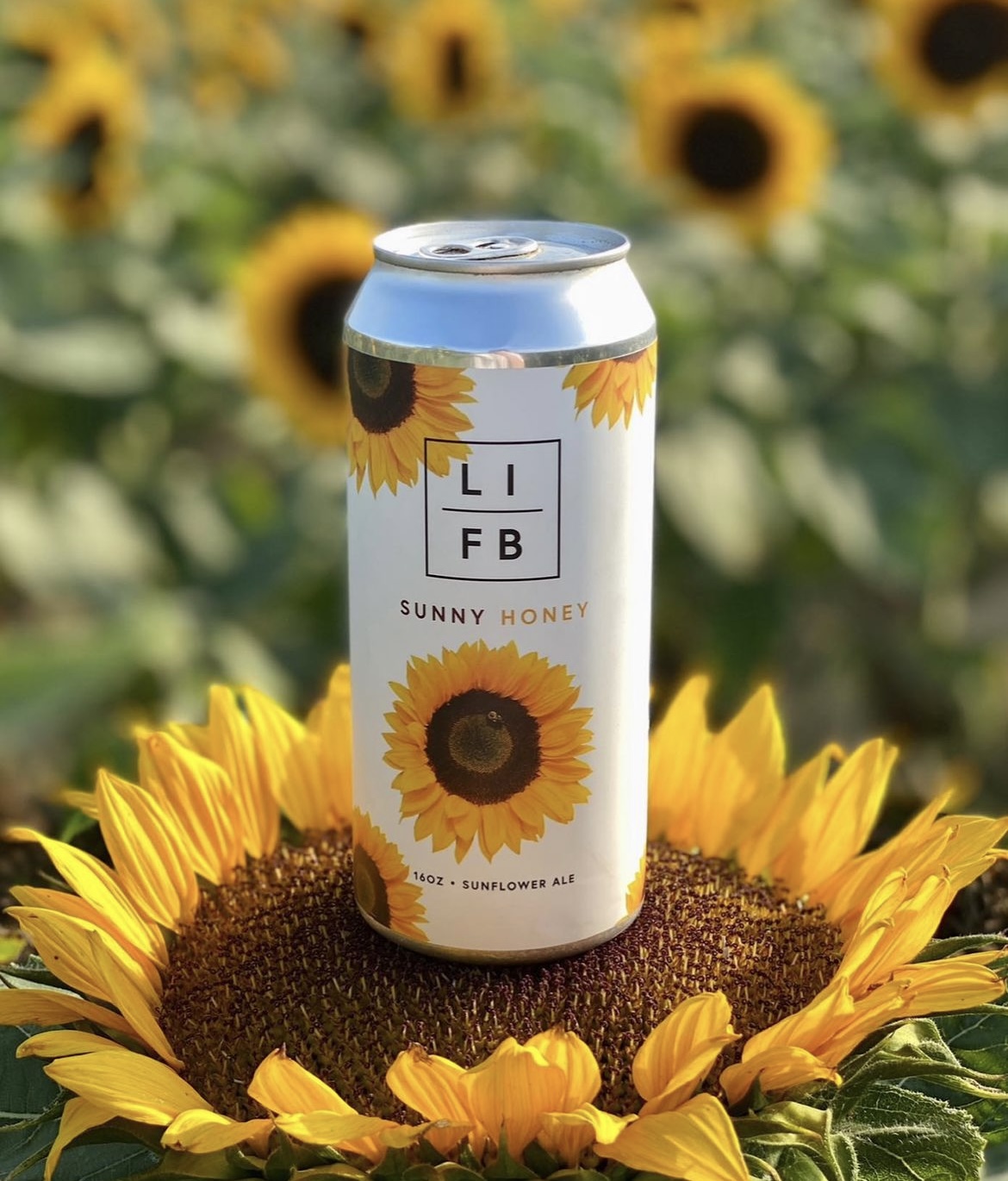 Long Island Farm Brewery's Sunflower Fest inspired beer, Sunny Honey