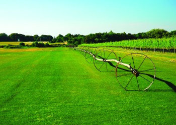 East End farmers have to irrigate their crops more due to the drought, especially sod farms