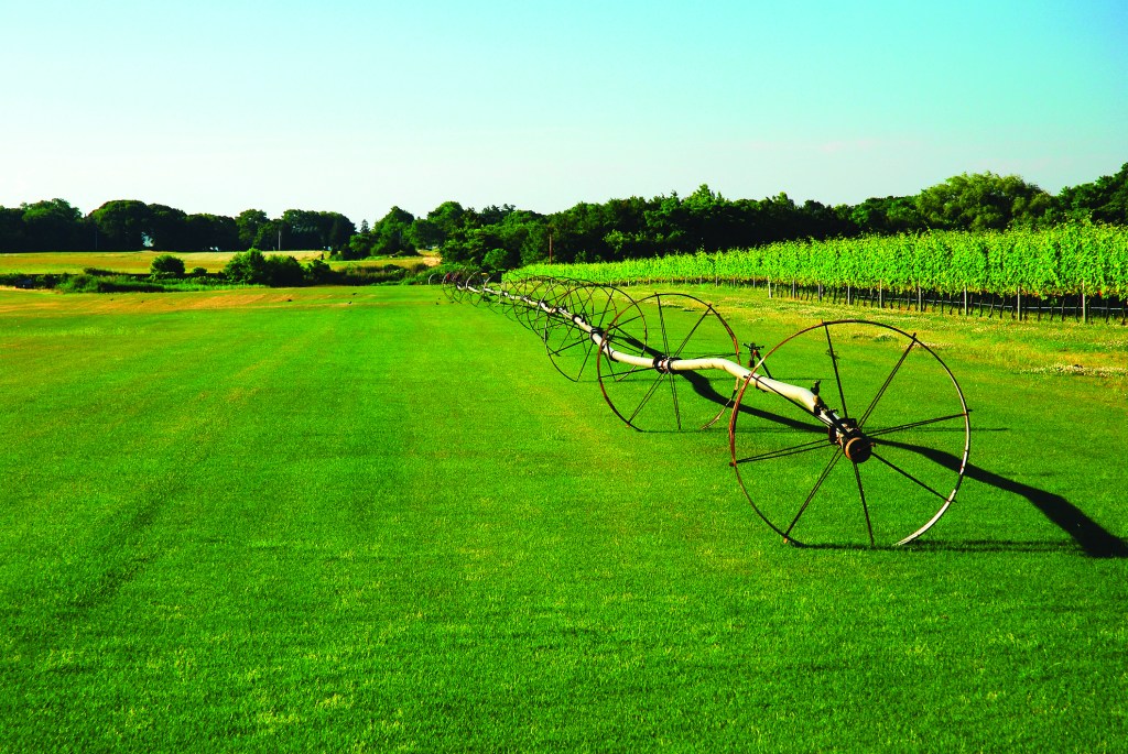 East End farmers have to irrigate their crops more due to the drought, especially sod farms