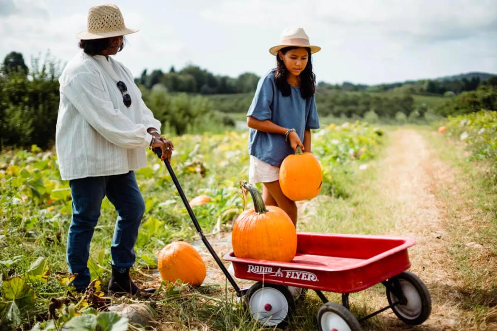 Pumpkin Picking