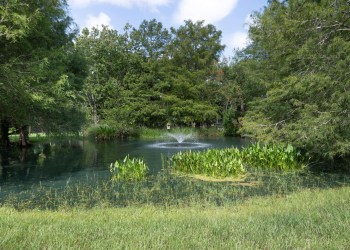 The McKee Garden is part of the Palm Beach County Native Garden Tour