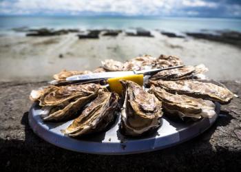 A platter of oyster from Anchor and Bell, which is part of Long Island Oyster Fest.