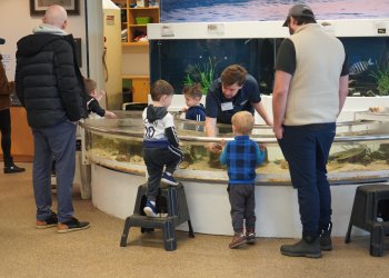 Discovering storybook critters at SoFo National History Museum