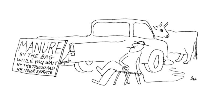 Car Hamptons Cartoon by Dan Rattiner