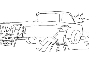 Car Hamptons Cartoon by Dan Rattiner
