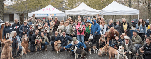 Animal Rescue Fund of the Hamptons is hosting one of two pet adoption events on the East End on May 18 (Lisa Tamburini)