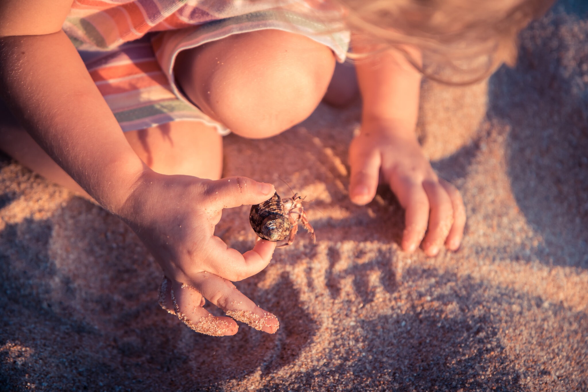 Curious child kids playing on beach with hermit crab during summer vacation concept childhood curiosity lifestyle