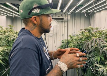 Taboo in his cannabis grow room on the Shinnecock Reservation