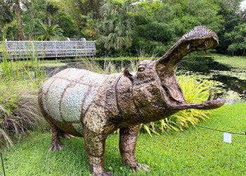 The metal hippo at Mounts Botanical Garden