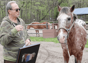 John Melillo shows Cajun the horse his portrait