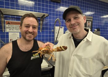 Stop & Shop handed over a rare orange lobster to Humane Long Island director John Di Leonardo