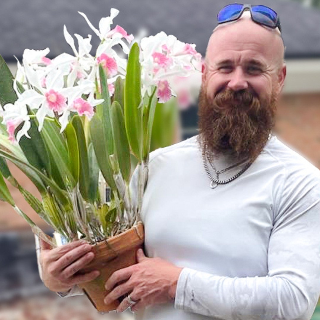 Mike Sands will show off his orchids at Mounts Botanical Garden