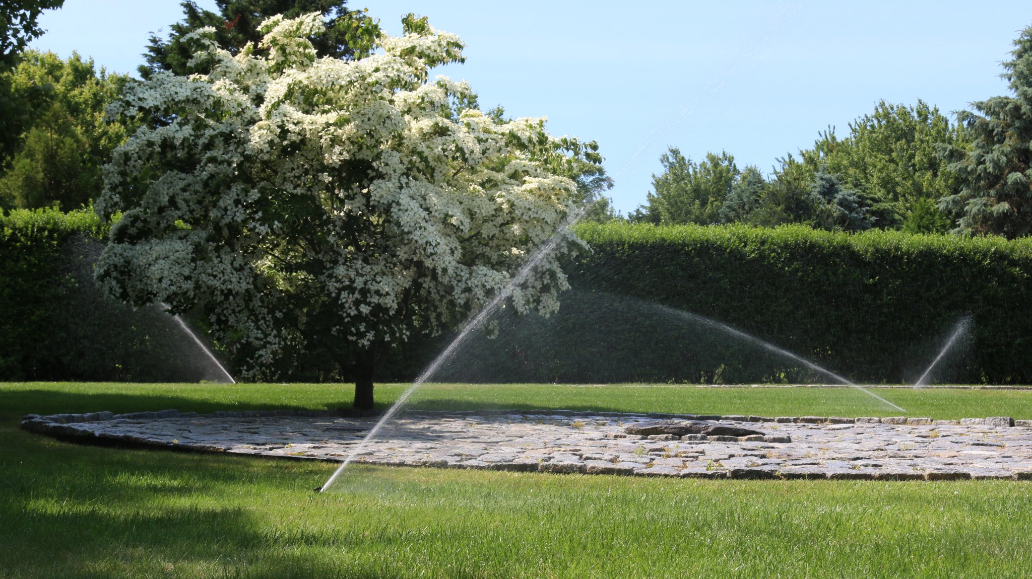 Sprinklers spray luxury Hamptons lawn with water - Save water with Wi-Fi controllers and flow meters when you irrigate with RB Irrigation