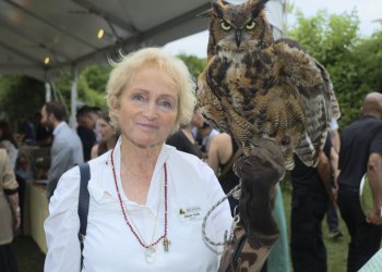 Jane Gill, Meep the Great Horned Owl at SoFo Annual Gala