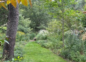 Join the The Garden Conservancy for a tour of private Hamptons gardens