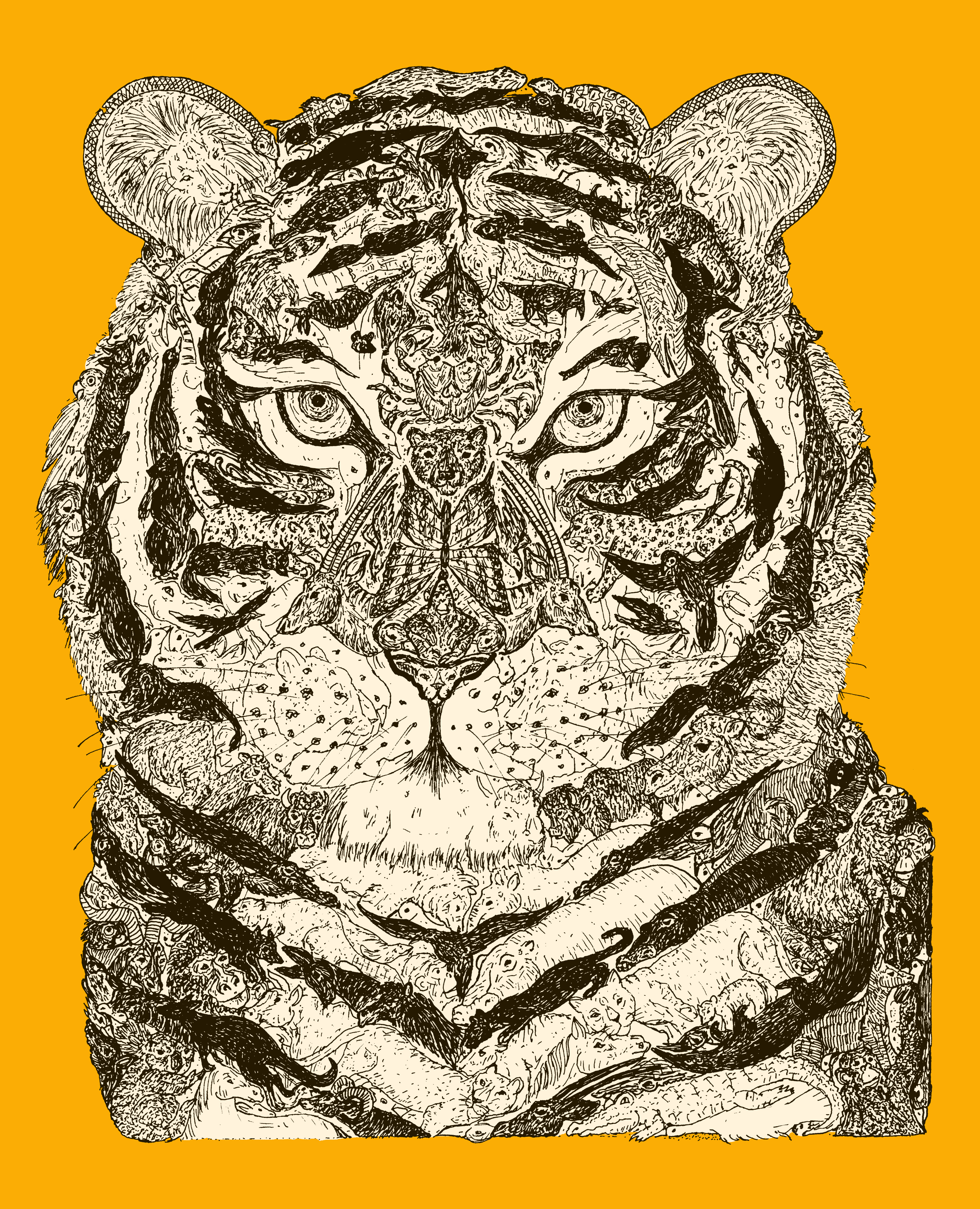 "Tigerama" by Chaz Letzkus