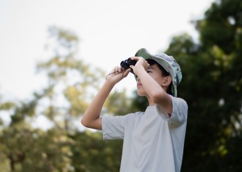 Teach your kids to be young birders!